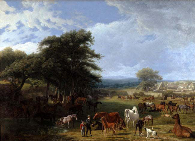 lord rivers's stud farm stratfield saye